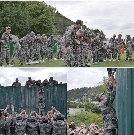 1666140306111970.png 111.png